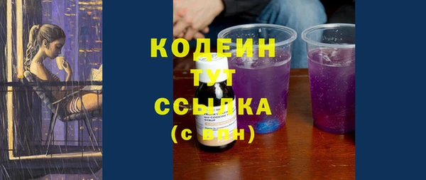 прущие грибы Кодинск
