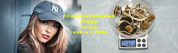 прущие грибы Кодинск