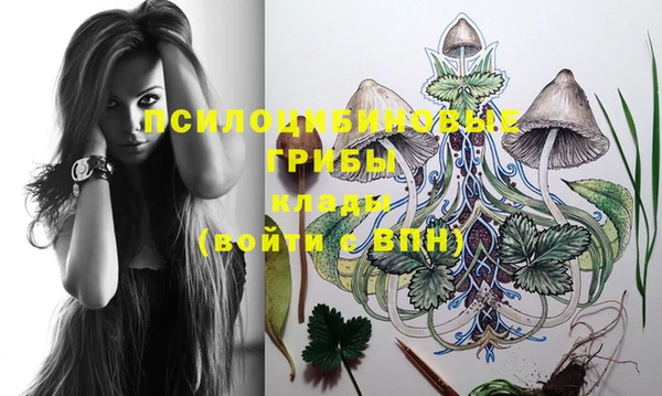 прущие грибы Кодинск