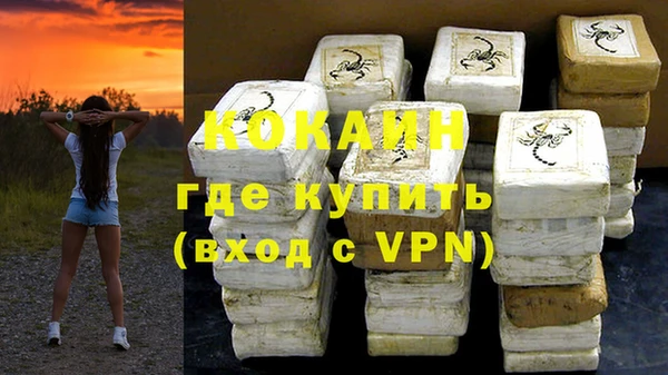 прущие грибы Кодинск