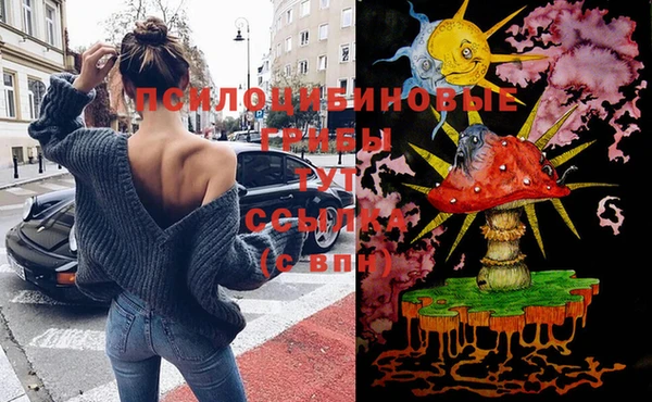 mdma Козловка